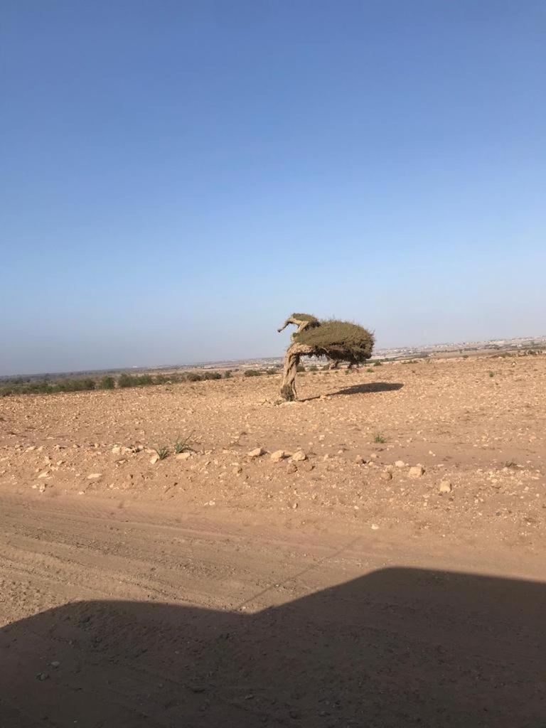 Apartamento Riad Targante Takate 1 Sidi Bibi Exterior foto